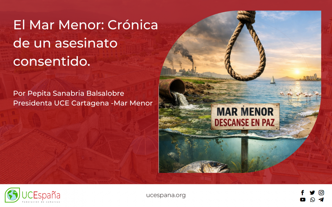 El Mar Menor: crónica de un asesinato consentido.